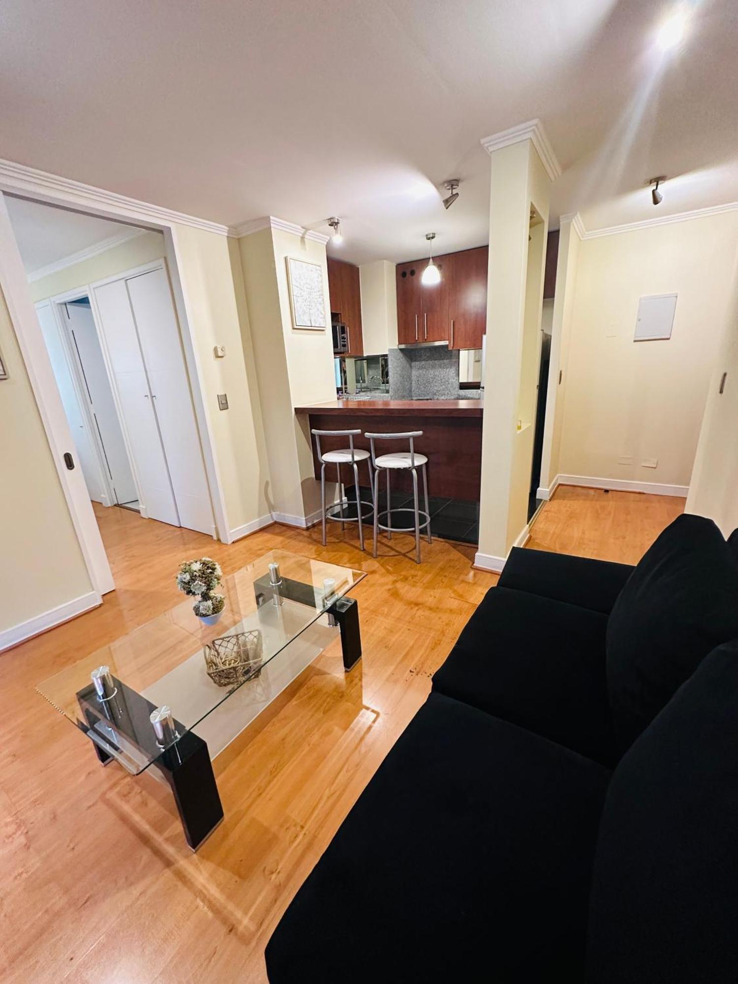 Sector Turistico Y Ejecutivo, Providencia Apartamento Santiago